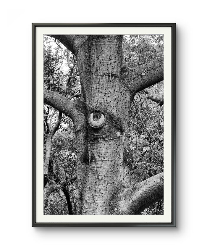 LOOKING FOR YOU - Imagem 1