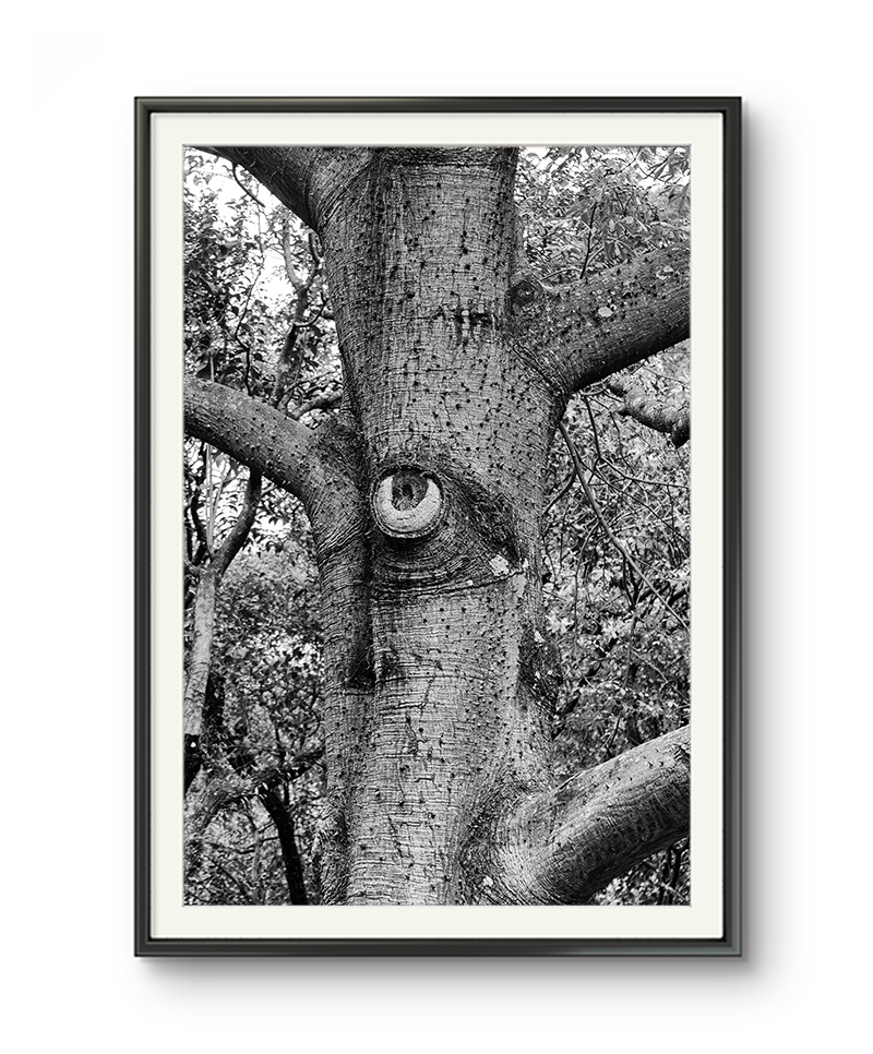 JAMES CONWAY 6 LOOKING FOR YOU - Imagem 1