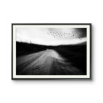 DO OUTRO LADO DA LUA